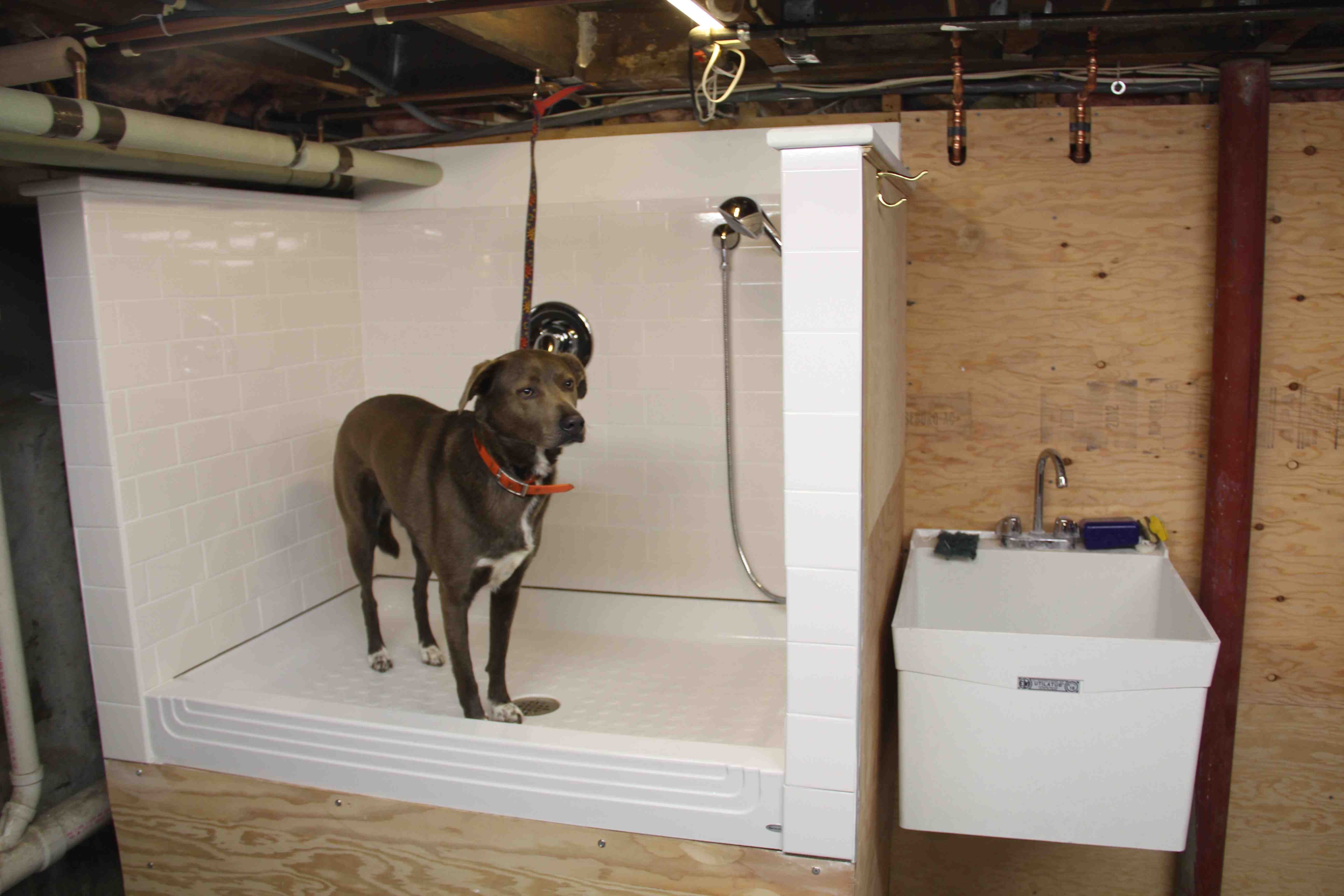 Best ideas about Dog Bath Tub DIY
. Save or Pin How To Build A Dog Wash Station DIY Pets Now.
