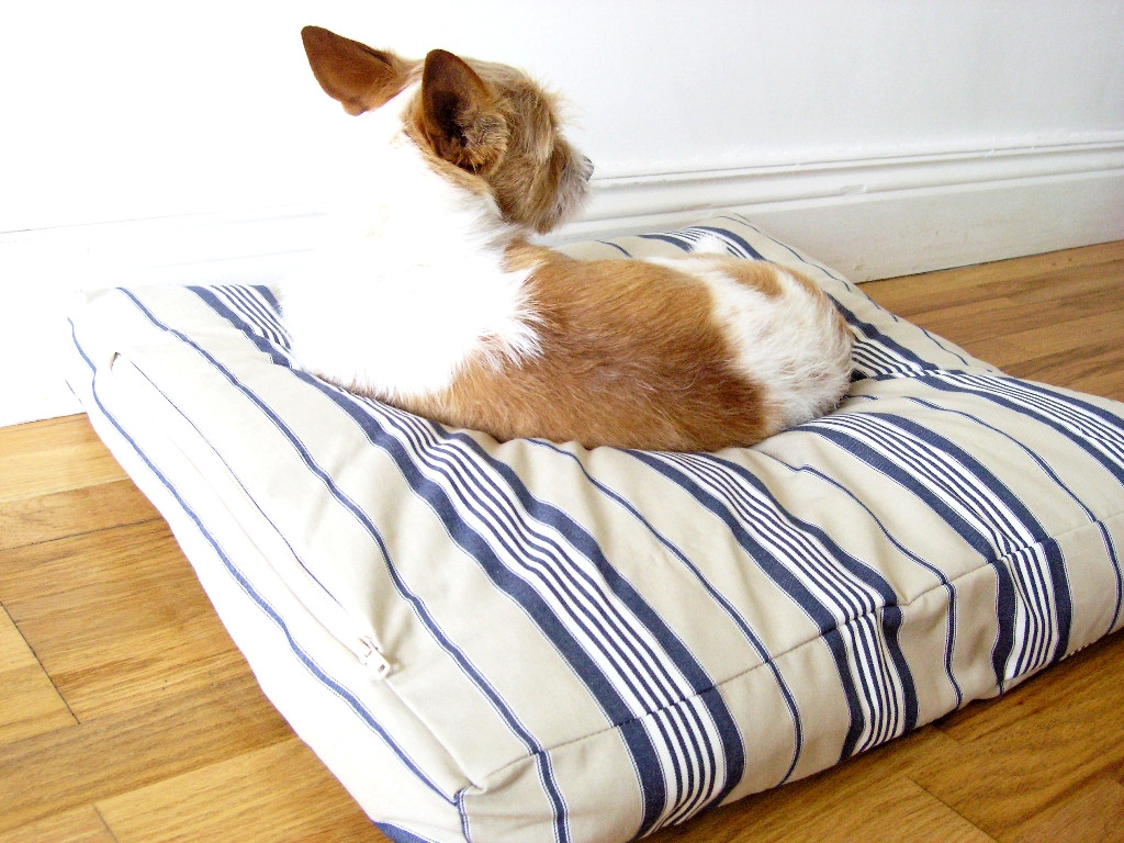 Best ideas about Dog Bed DIY
. Save or Pin made DIY Dog Bed Now.