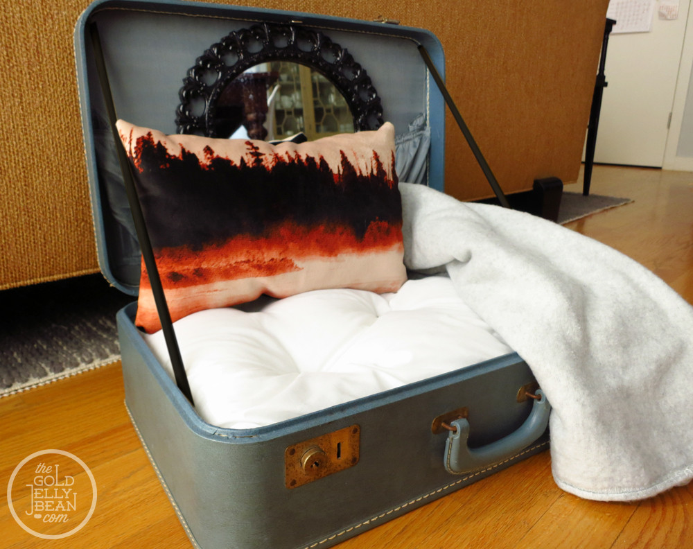 Best ideas about Dog Beds DIY
. Save or Pin DIY Vintage Suitcase Dog Bed Now.