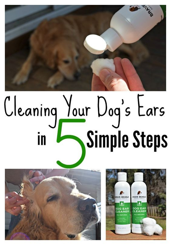 Best ideas about Dog Ear Cleaner DIY
. Save or Pin Brave Beagle Dog Ear Cleaner Review Pinterest Now.