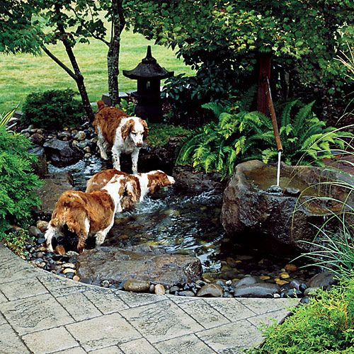 Best ideas about Dog Friendly Backyard
. Save or Pin Best 25 Dog friendly backyard ideas on Pinterest Now.