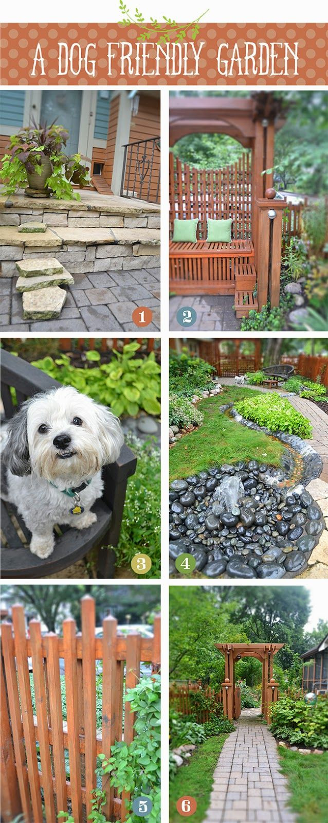Best ideas about Dog Friendly Backyard
. Save or Pin Best 25 Dog friendly backyard ideas on Pinterest Now.