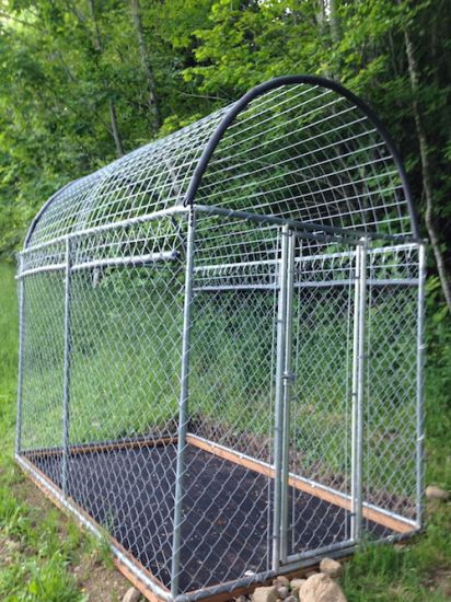 Best ideas about Dog Kennel Roof DIY
. Save or Pin Make a Greenhouse from an Unused Dog Kennel Organic Now.