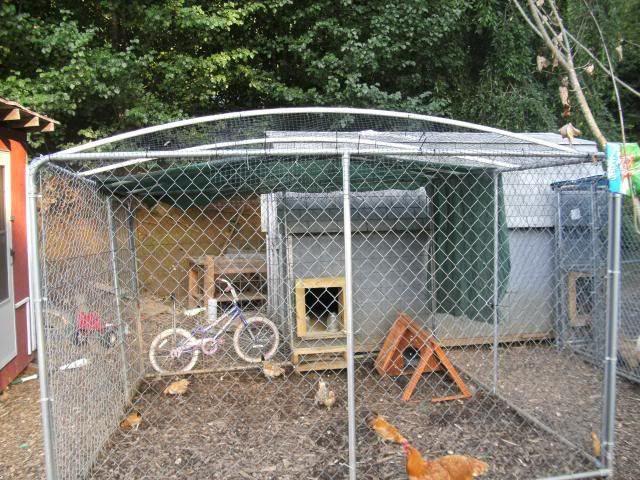 Best ideas about Dog Kennel Roof DIY
. Save or Pin Dog Kennel wire roofing and preditor proofing questions Now.