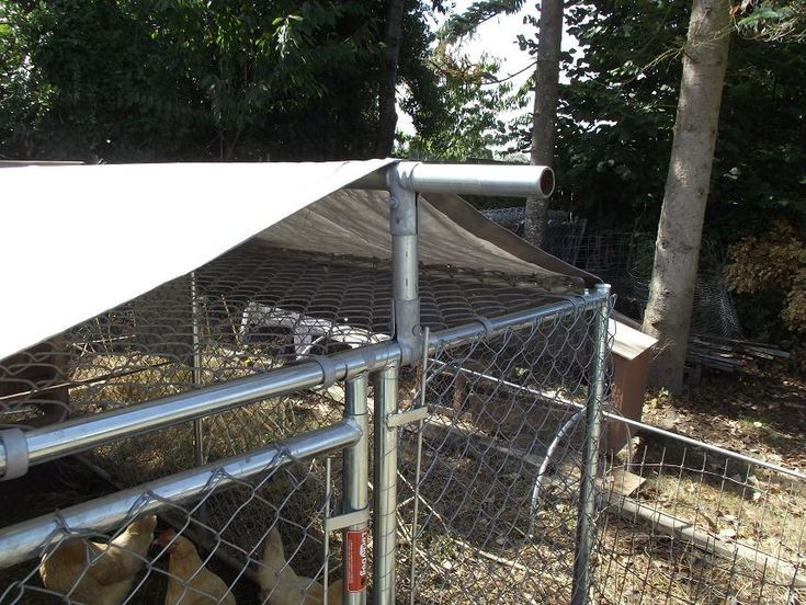Best ideas about Dog Kennel Roof DIY
. Save or Pin Best 25 Dog kennel cover ideas on Pinterest Now.