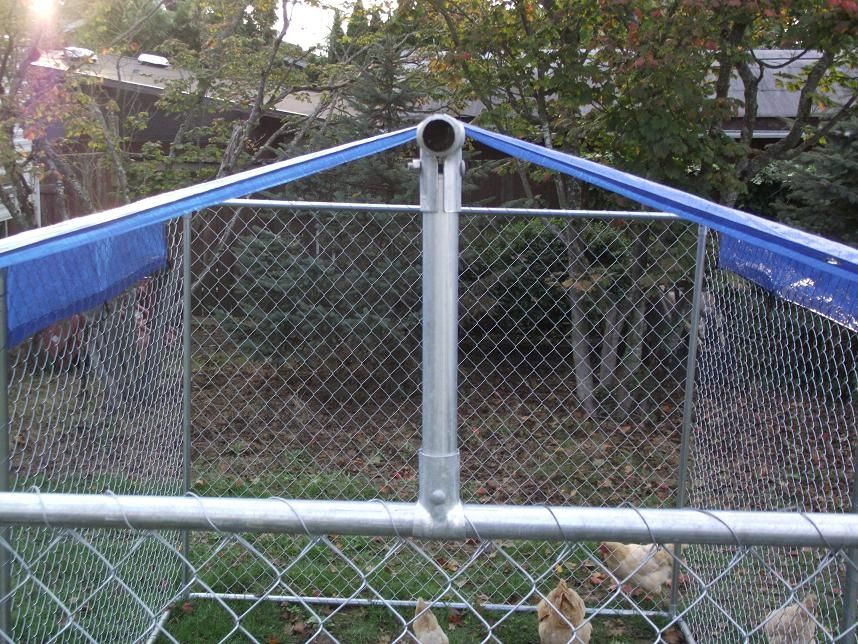 Best ideas about Dog Kennel Roof DIY
. Save or Pin Make your own dyi dog kennel roof cover Now.