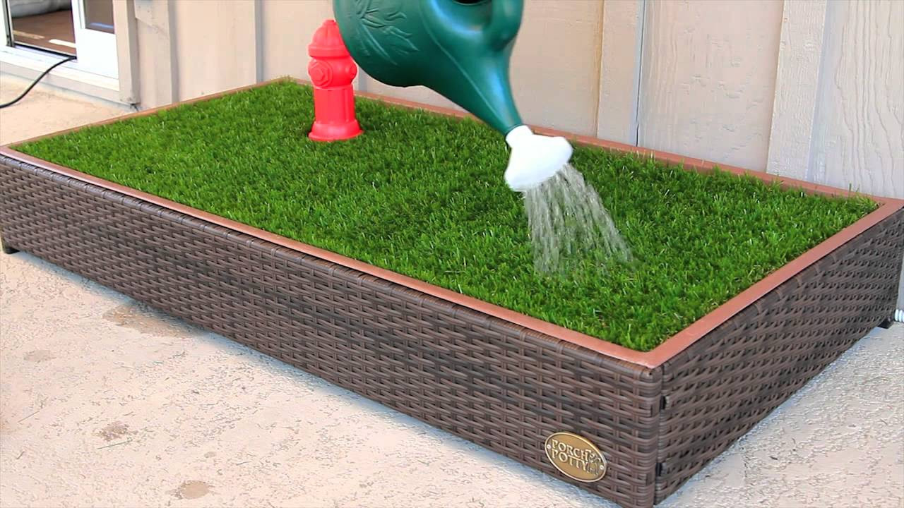 Best ideas about Dog Potty Grass DIY
. Save or Pin Porch Potty is Amazing First Automated Dog Litter Box Now.
