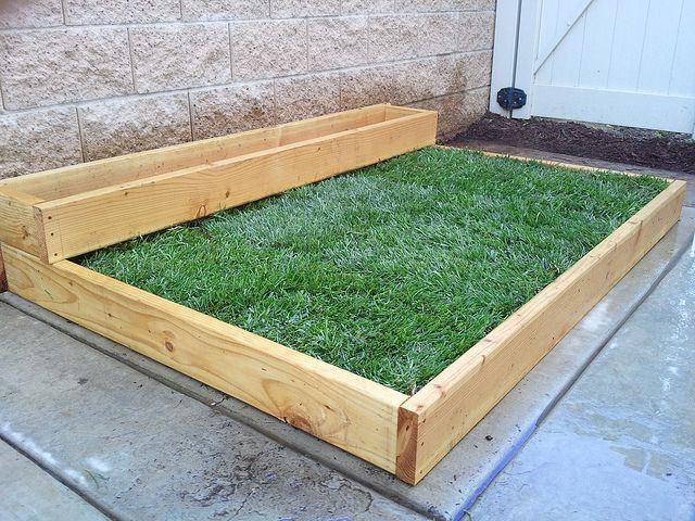 Best ideas about Dog Potty Grass DIY
. Save or Pin Planting Grass on Concrete – Part 1 Now.