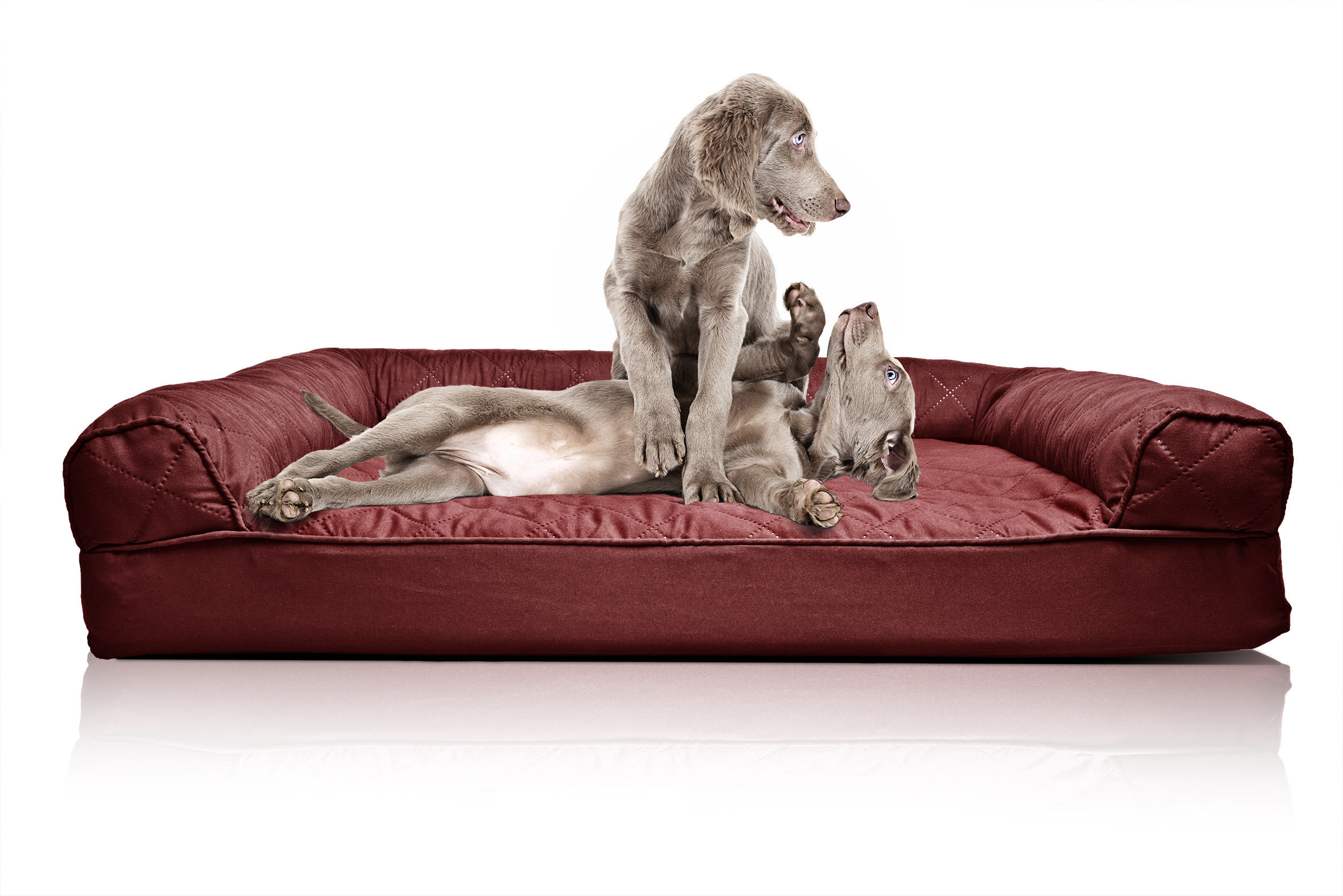 Best ideas about Dog Sofa Bed
. Save or Pin FurHaven Quilted Orthopedic Sofa Dog Bed Pet Bed Now.