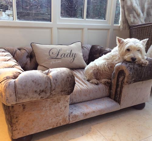 Best ideas about Dog Sofa Bed
. Save or Pin Balmoral Truffle Crushed Velvet Luxury Dog Sofa Bed Now.