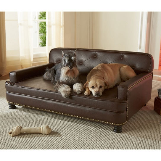 Best ideas about Dog Sofa Bed
. Save or Pin Encantado Espresso Dog Sofa Bed Now.