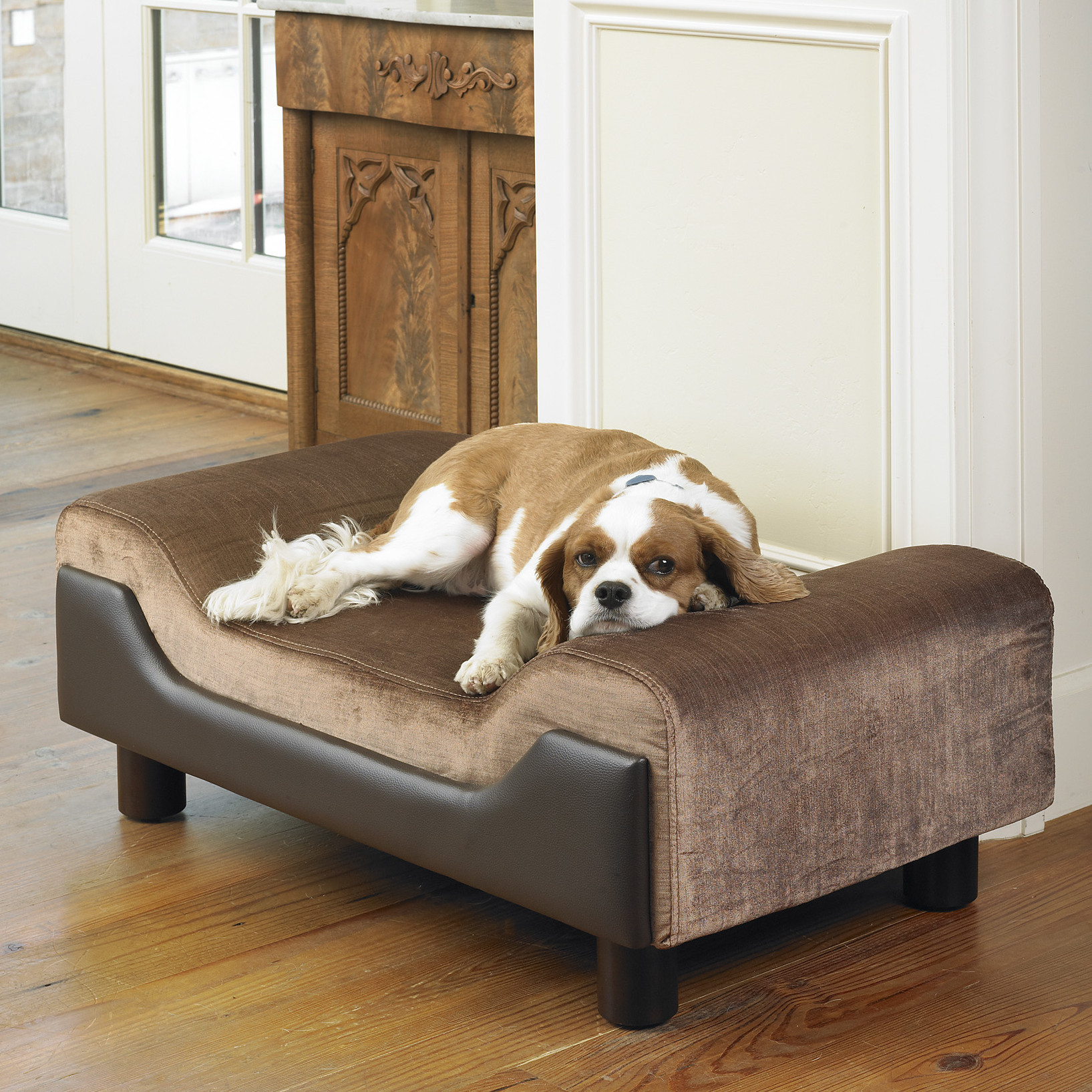 Best ideas about Dog Sofa Bed
. Save or Pin Mission Hills Contour Dog Sofa & Reviews Now.