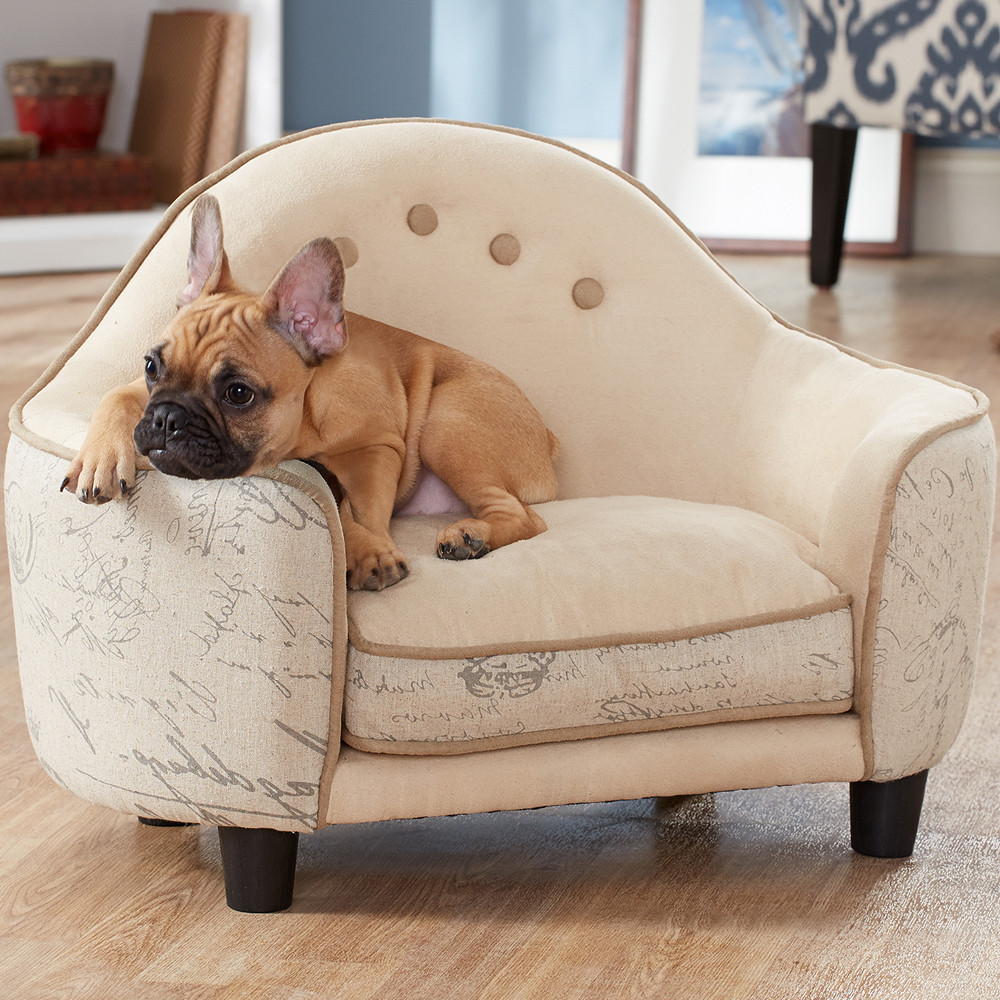 Best ideas about Dog Sofa Bed
. Save or Pin Are you a Pet Lover Organize It Blog Now.