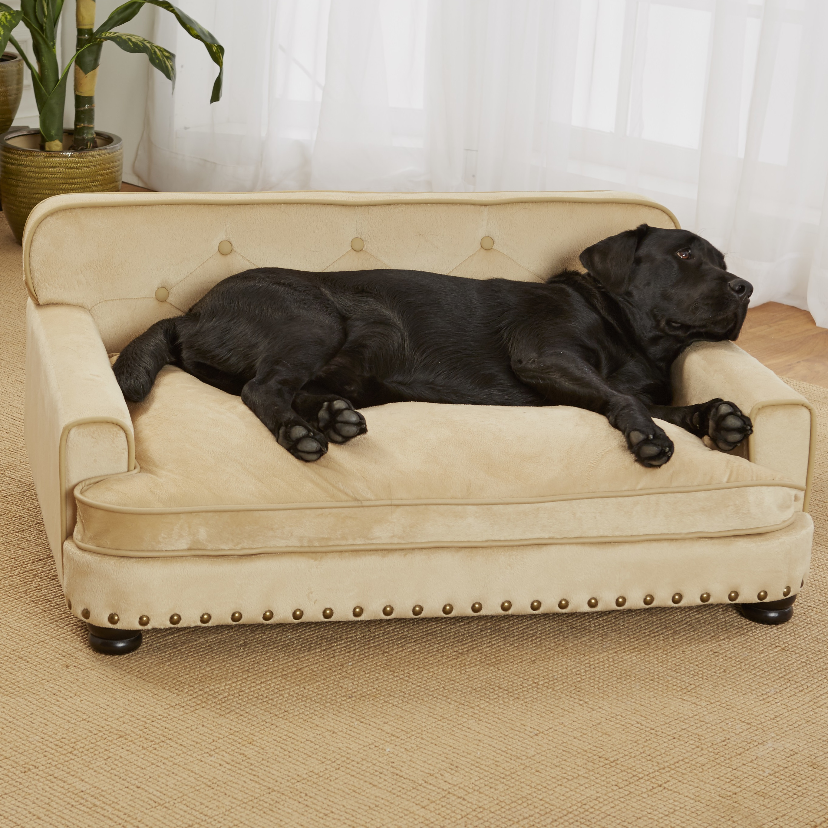 Best ideas about Dog Sofa Bed
. Save or Pin Enchanted Home Pet Library Dog Sofa & Reviews Now.