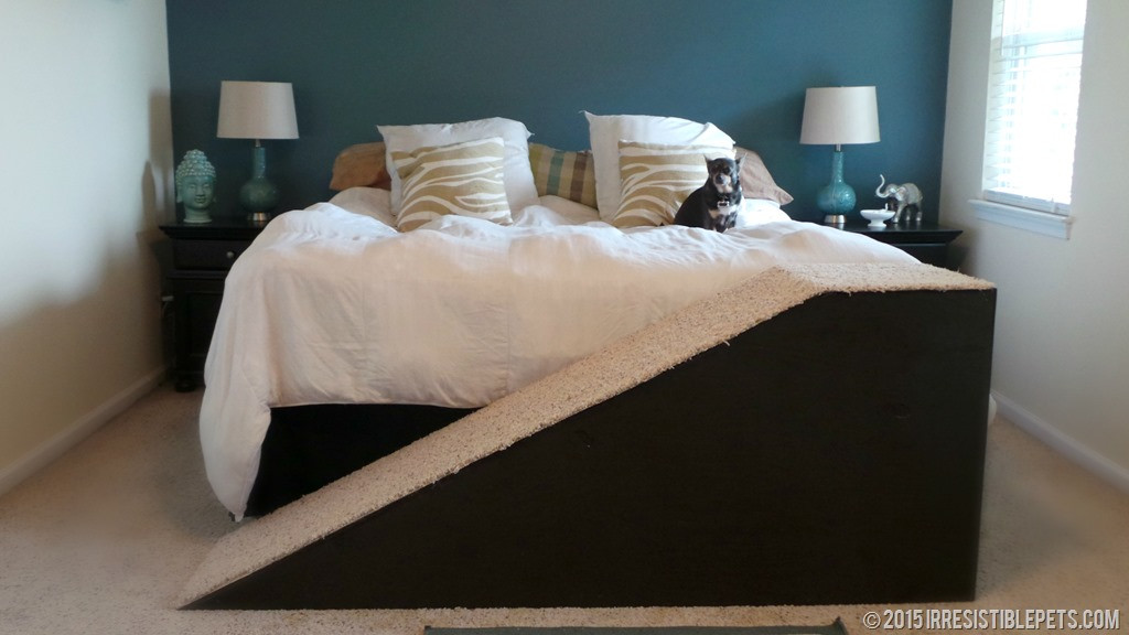 Best ideas about Dog Steps For Bed DIY
. Save or Pin How I Treat Chuy Chihuahua’s IVDD Irresistible Pets Now.