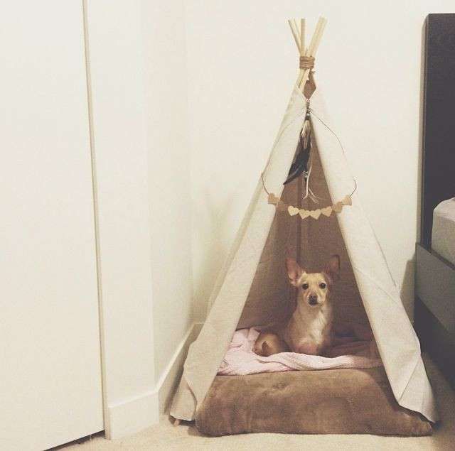 Best ideas about Dog Teepee DIY
. Save or Pin Pet teepees now for sale $175 each Fits a cat or small Now.