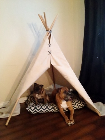 Best ideas about Dog Teepee DIY
. Save or Pin DIY for Pets Now.