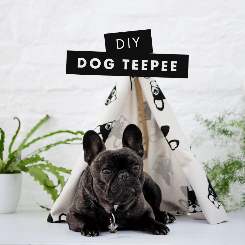 Best ideas about Dog Teepee DIY
. Save or Pin DIY DOG TEEPEE Now.