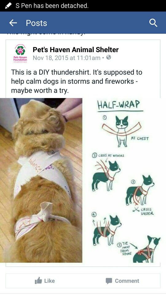 Best ideas about Dog Thundershirt DIY
. Save or Pin 27 best images about English Shepherds on Pinterest Now.