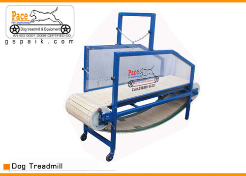 Best ideas about Dog Treadmill DIY
. Save or Pin Dog Treadmill & Equipment Dog Treadmill Manufacturer Now.