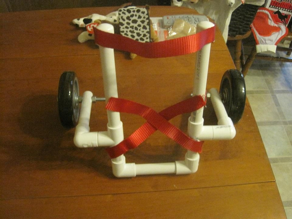 Best ideas about Doggie Wheelchair DIY
. Save or Pin DIY photo tutorial to make a small dog wheelchair w Now.