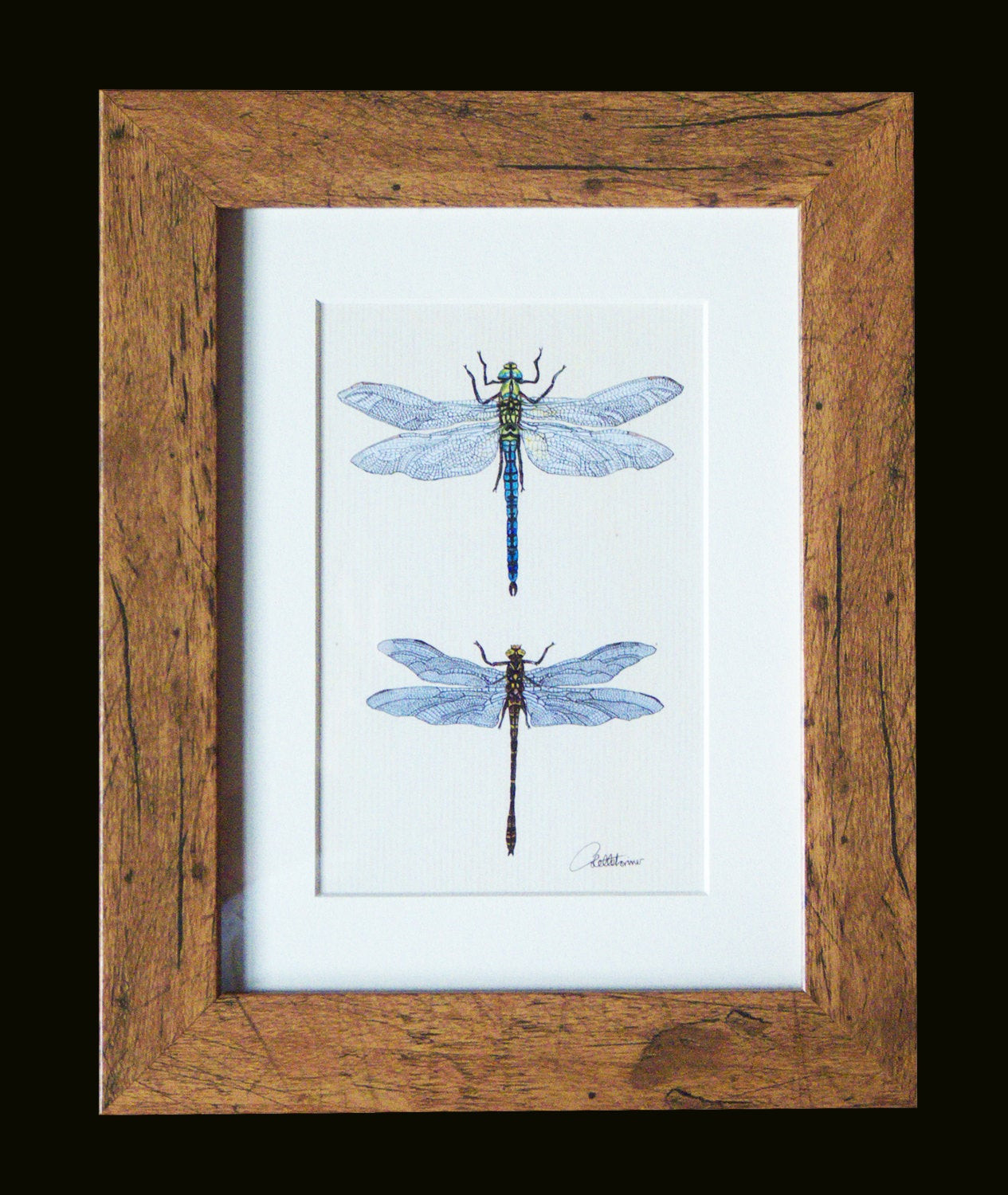 Best ideas about Dragonfly Wall Art
. Save or Pin Dragonfly PictureDragonfly PrintDragonfly Wall Decor Now.