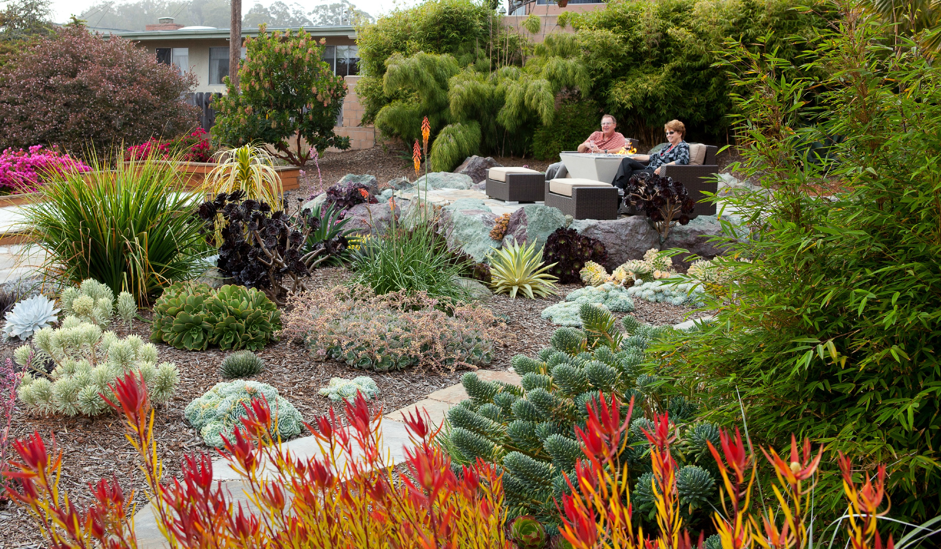 Best ideas about Drought Tolerant Plants Landscape Design
. Save or Pin Inspirations Succulent Plants Arizona Now.