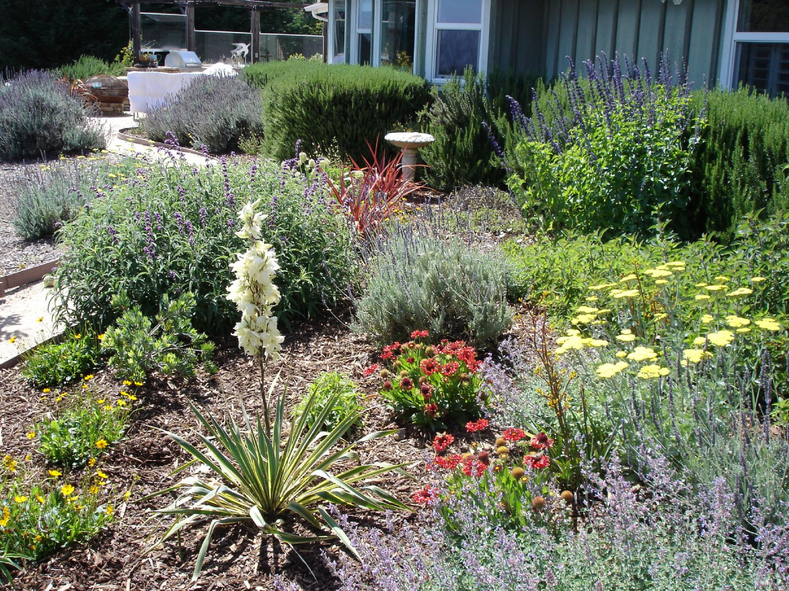 Best ideas about Drought Tolerant Plants Landscape Design
. Save or Pin Drought Tolerant Landscape Design Herbs — Home Ideas Now.