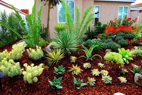 Best ideas about Drought Tolerant Plants Landscape Design
. Save or Pin Drought tolerant landscaping ideas – how to choose the Now.