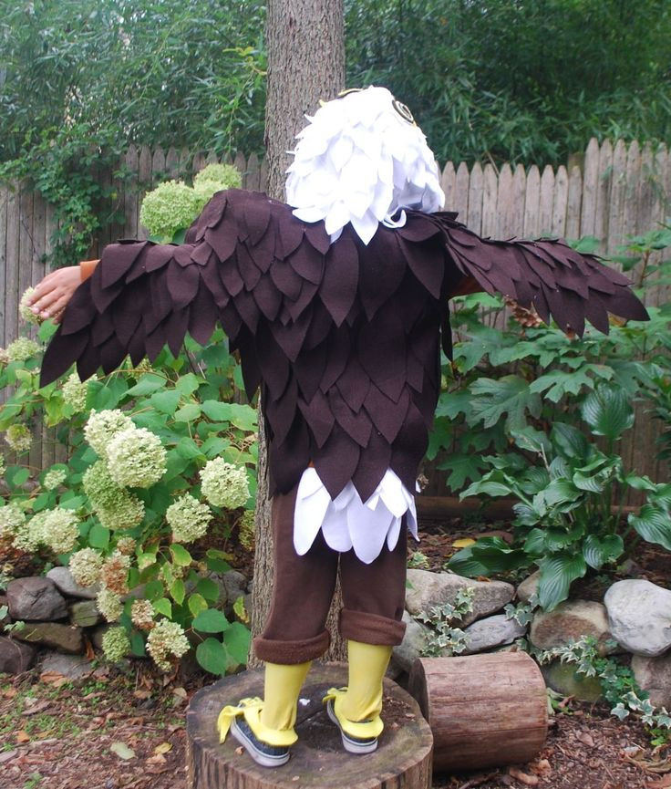 Best ideas about Eagle Costume DIY
. Save or Pin 25 best ideas about Eagle Costume on Pinterest Now.