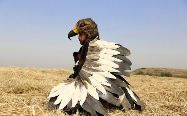 Best ideas about Eagle Costume DIY
. Save or Pin DIY Eagle Costume Now.