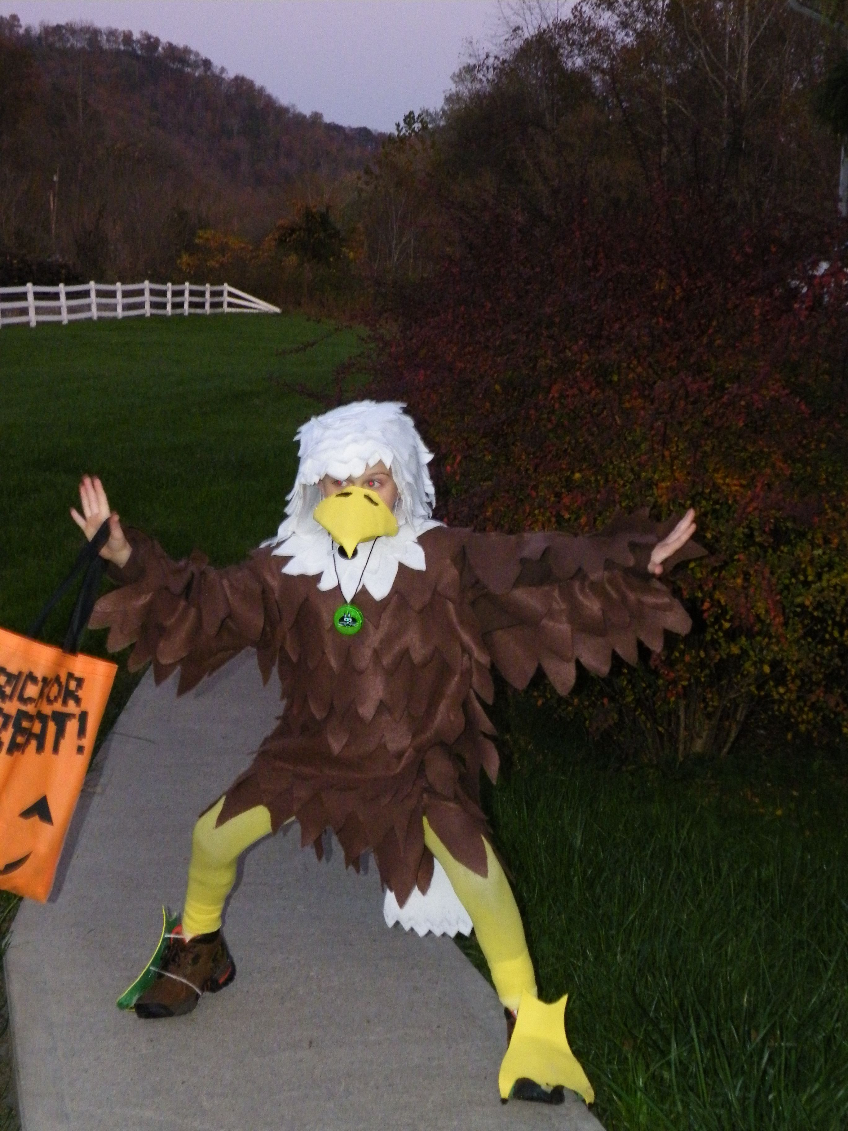 Best ideas about Eagle Costume DIY
. Save or Pin My nephew s eagle halloween costume from last year I made Now.