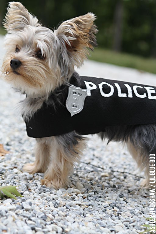 Best ideas about Easy DIY Dog Costumes
. Save or Pin DIY Police Costume and K 9 Dog Halloween Costume Now.