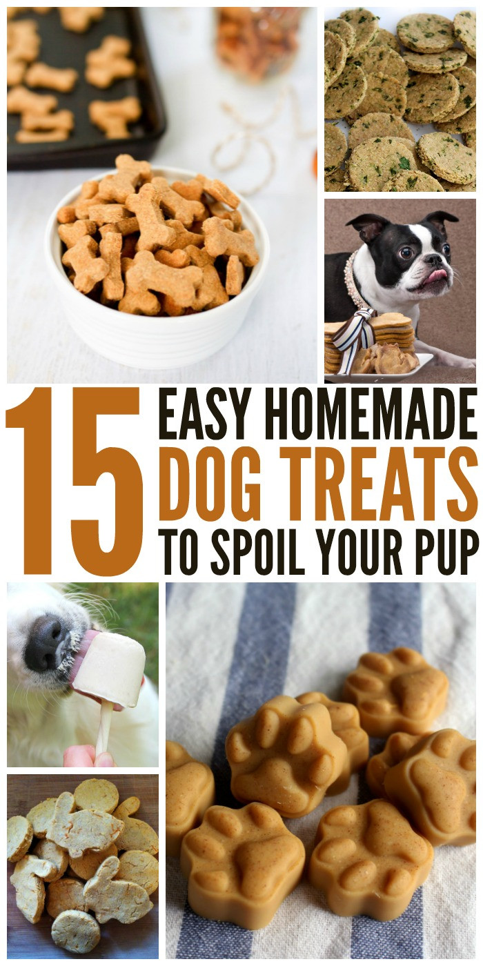 Best ideas about Easy DIY Dog Treats
. Save or Pin 15 DIY Dog Treats to Pamper Your Pooch Now.