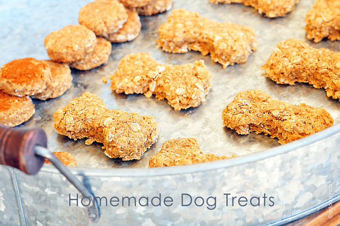 Best ideas about Easy DIY Dog Treats
. Save or Pin Homemade Dog Treats Recipe Add a Pinch Now.