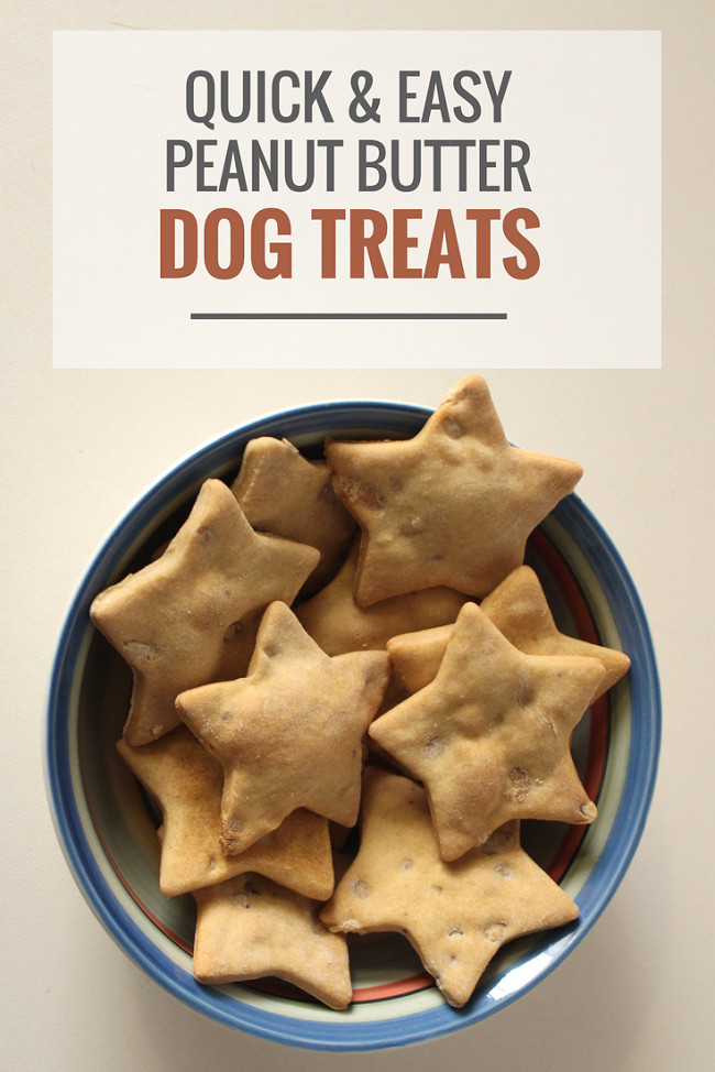 Best ideas about Easy DIY Dog Treats
. Save or Pin Quick & Easy Peanut Butter Dog Treats Puppy Leaks Now.