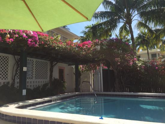 Best ideas about El Patio Key West
. Save or Pin Rooftop Deck Picture of El Patio Motel Key West Now.