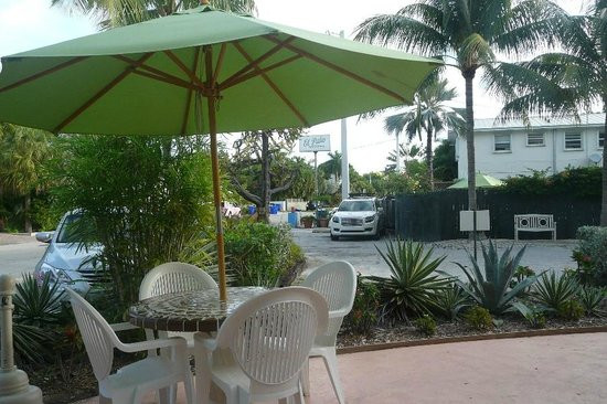 Best ideas about El Patio Motel
. Save or Pin The swimming pool Picture of El Patio Motel Key West Now.