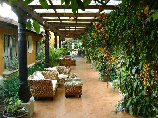 Best ideas about El Patio Santa Rosa
. Save or Pin Foto de Casa Santa Rosa Hotel Boutique Antigua el patio Now.