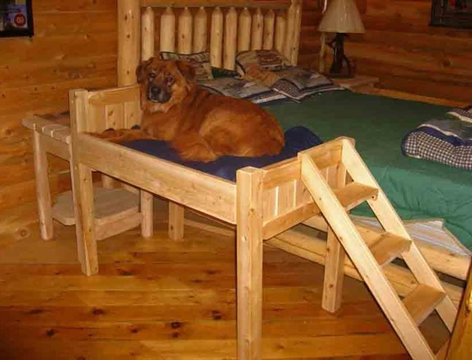 Best ideas about Elevated Dog Bed DIY
. Save or Pin 17 Best ideas about Elevated Dog Bed on Pinterest Now.