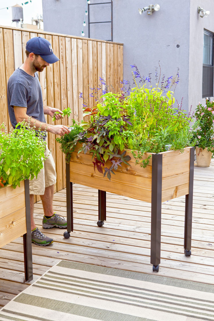 Best ideas about Elevated Garden Planter
. Save or Pin Elevated Garden Beds on Legs Elevated Planter Box Now.