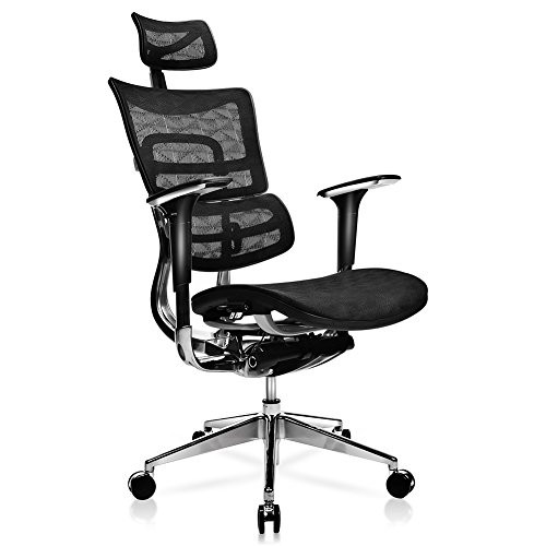 Best ideas about Ergonomic Office Chair With Lumbar Support
. Save or Pin TomCare fice Chair Ergonomic Mesh fice Chair with Now.