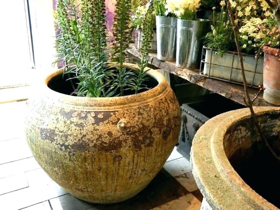 Best ideas about Extra Large Outdoor Planters For Sale
. Save or Pin big pots for sale – fashiontouchub Now.