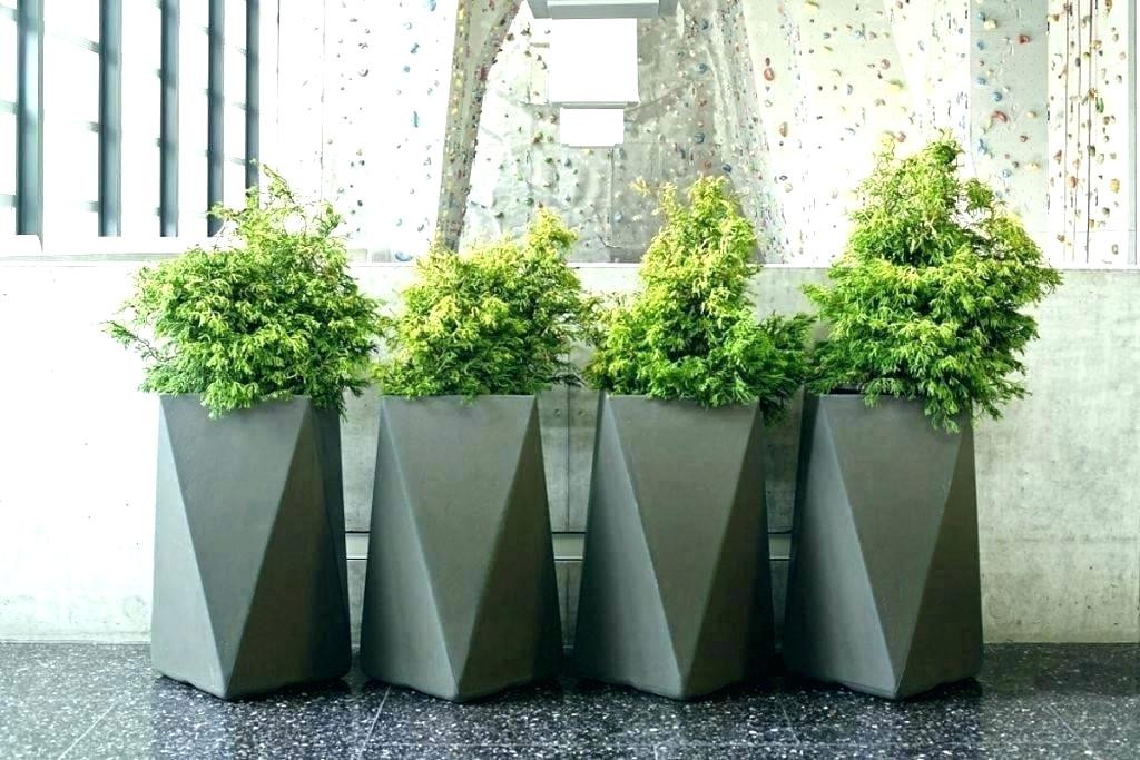 Best ideas about Extra Large Outdoor Planters For Sale
. Save or Pin Extra Planters For Outside Shipping Containers Sale Now.