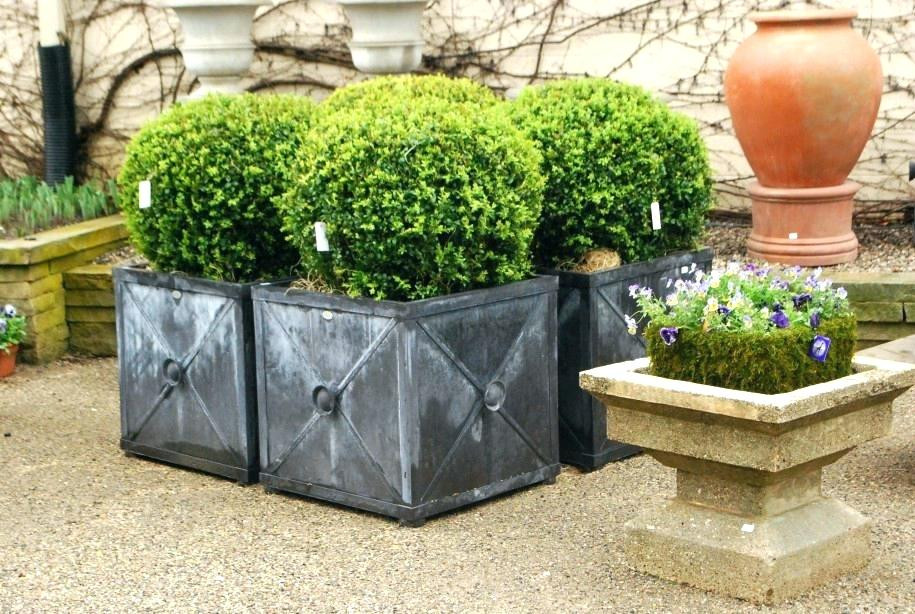 Best ideas about Extra Large Outdoor Planters For Sale
. Save or Pin extra large garden planters – steadiwarefo Now.