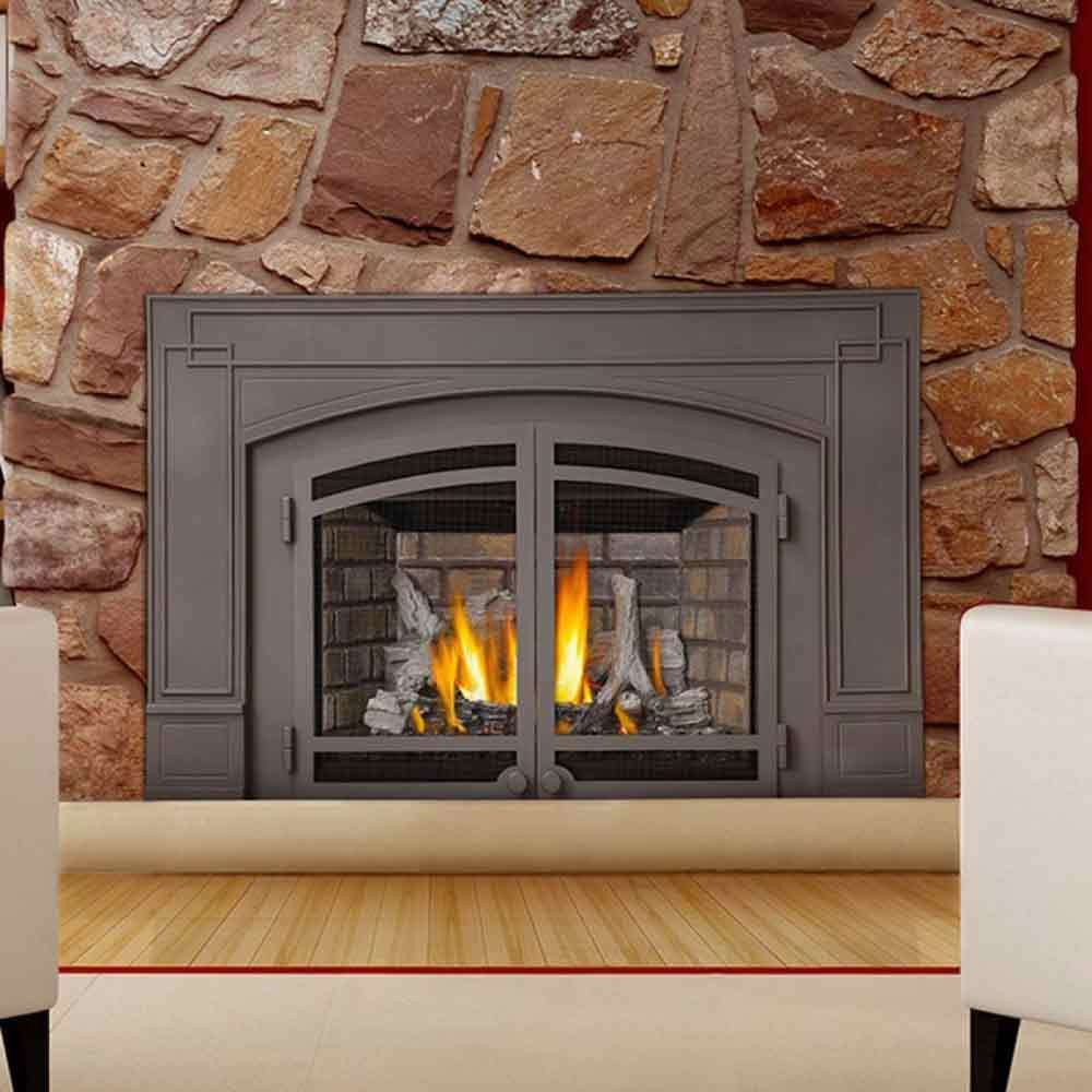 Best ideas about Fireplace Gas Insert
. Save or Pin Napoleon IR3N IR Series Gas Fireplace Insert Now.