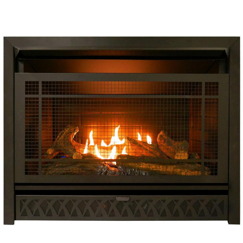 Best ideas about Fireplace Insert Gas
. Save or Pin Pro Gas Fireplace Insert Duel Fuel Technology – 26 000 Now.