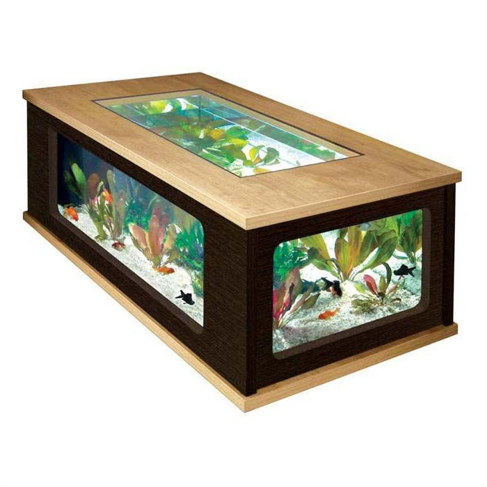 Best ideas about Fish Tank Coffee Table
. Save or Pin Best 25 Fish tank coffee table ideas on Pinterest Now.