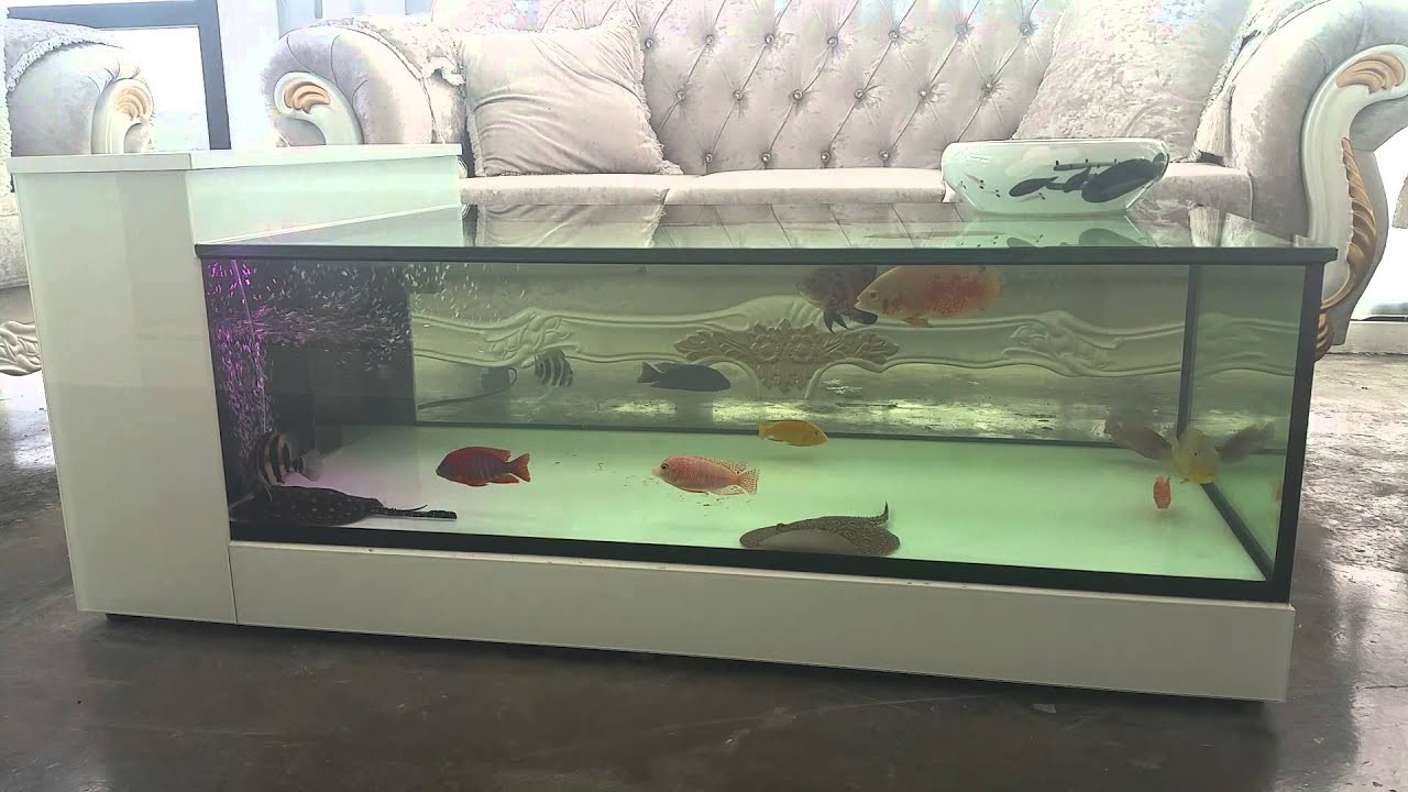 Best ideas about Fish Tank Coffee Table
. Save or Pin My Coffee Table Aquarium Fish Tank Stingrays Now.