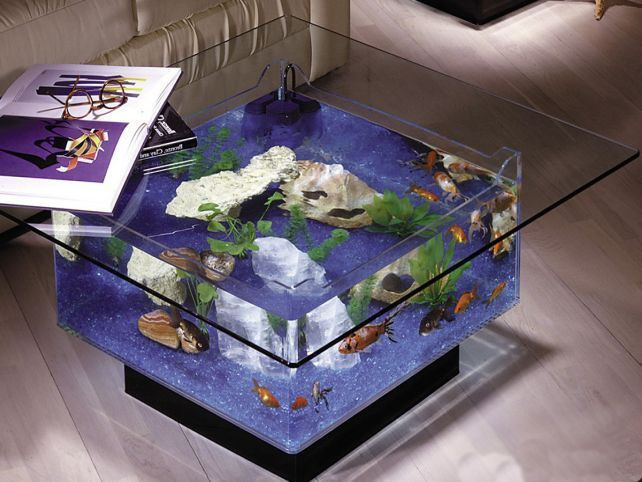 Best ideas about Fish Tank Coffee Table
. Save or Pin Coffee Table Luxury 25 Gallon Aquarium Glass Fish Tank Now.